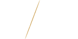 devyani-lashes-logo_83b2bd73-e875-4b45-afc8-e2862aa9d87f
